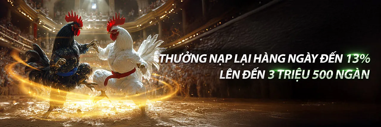 Đá gà trực tuyến Hello88z